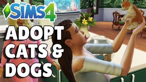 how to adopt a pet on sims 4